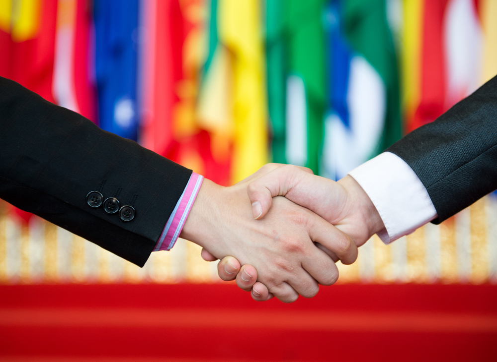 International business partnership